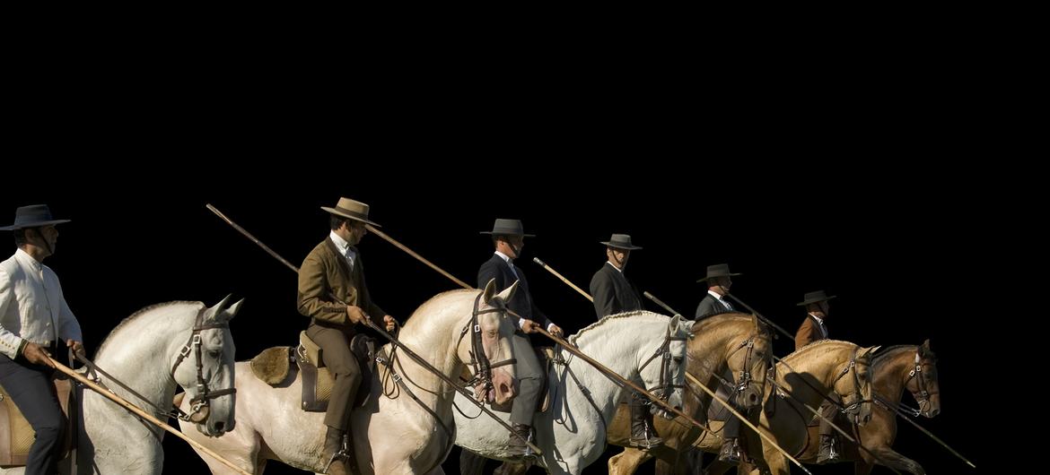 Uma fila de cavaleiros portugueses a cavalo, segurando longas varas, deslocando-se por um campo gramado.