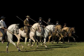 Festival Internacional de Puro Sangue Lusitano, APSL, Manuel Possolo, hipódromo de Cascais