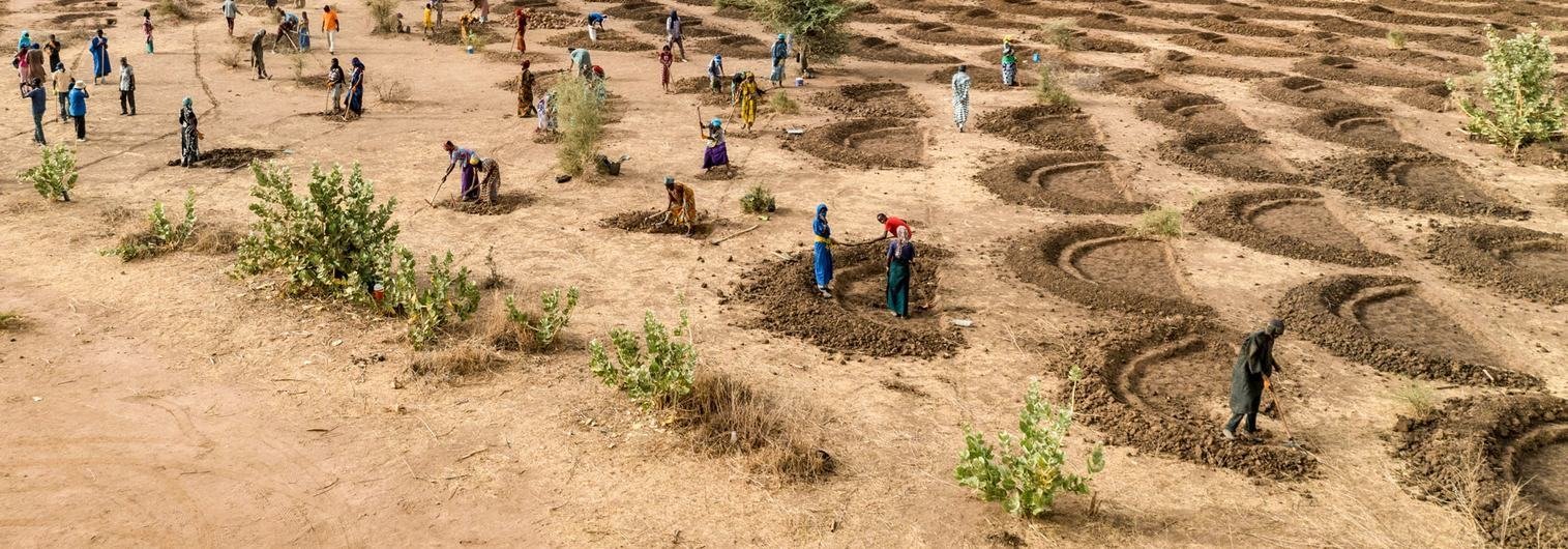 وفي العقود الماضية، نسق برنامج الأمم المتحدة للبيئة الجهود العالمية لإيجاد حلول للتحديات البيئية. في السنغال، توجد هياكل نصف دائرية تستخدم لإعادة تأهيل التربة القاحلة وجمع مياه الأمطار المتدفقة.