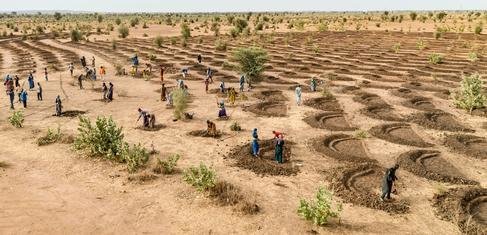  En Senegal, las medias lunas son estructuras semicirculares utilizadas para rehabilitar los suelos áridos y recoger el agua de lluvia de escorrentía.