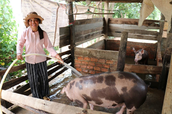 Hos Salop dans son exploitation agricole au Cambodge.