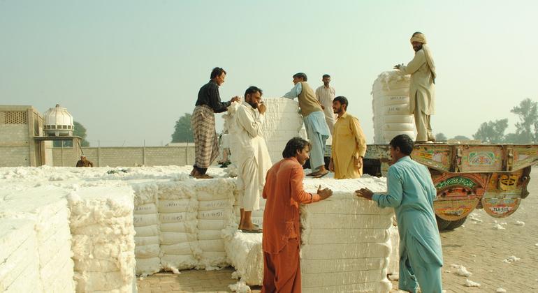 O algodão e seus produtos de valor agregado são a base da economia do Paquistão.