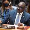 Заместитель Высокого представителя ООН по вопросам разоружения Адедеджи Эбо