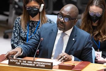 Заместитель Высокого представителя ООН по вопросам разоружения Адедеджи Эбо