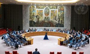 مجلس الأمن الدولي يعقد جلسة حول إزالة برنامج الأسلحة الكيميائية السوري