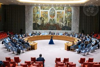 Заседание Совета Безопасности ООН (архив).