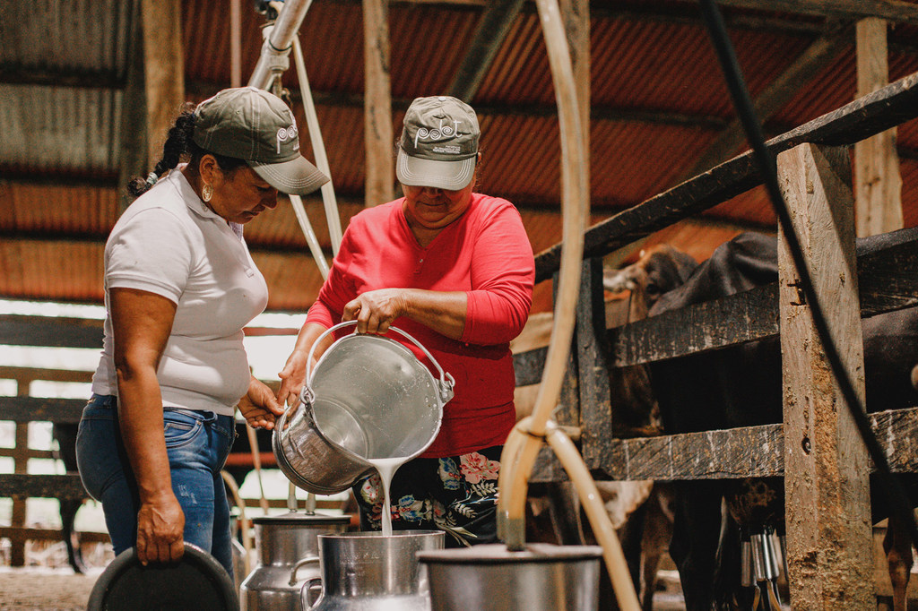 Blanca y Janeth de la  Asociación Damas Leche que agrupa a cerca de 40 mujeres, quienes sostienen la economía de su hogar gracias a la producción de lácteos.