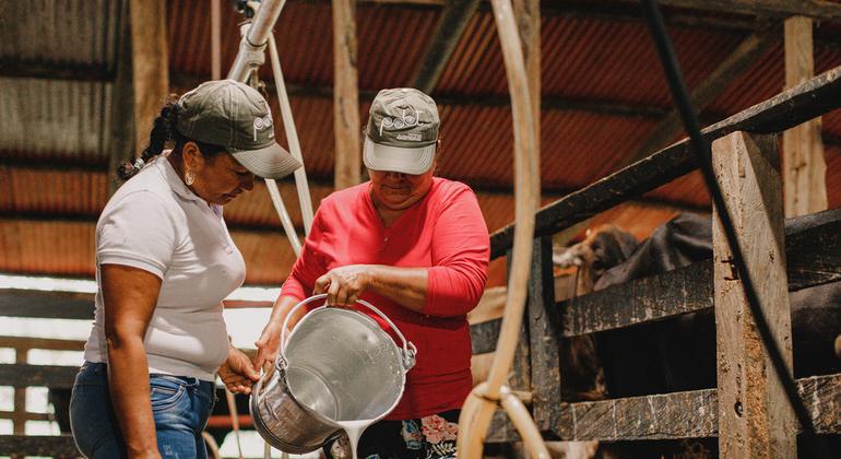 Blanca y Janeth de la  Asociación Damas Leche que agrupa a cerca de 40 mujeres, quienes sostienen la economía de su hogar gracias a la producción de lácteos.