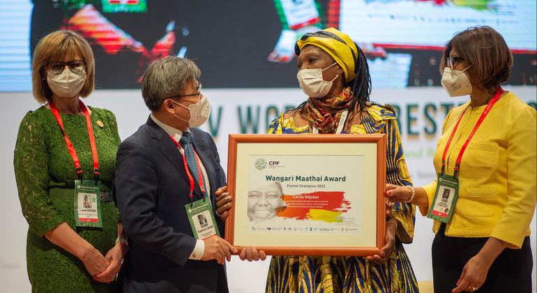 Champion of women’s right to manage land and forests wins top environment prize