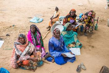 在乍得瓦达伊地区的一处站点，从苏丹逃离而来的妇女等待难民署工作人员作预登记。