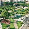 O espaço público verde tem um efeito positivo na biodiversidade, clima, bem-estar e qualidade do ar
