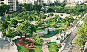 Public green space has a positive effect on biodiversity, climate, wellness and air quality.