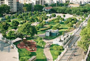 Public green space has a positive effect on biodiversity, climate, wellness and air quality.