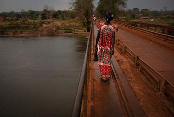 在中非共和国的班巴里，一名妇女正在过桥。