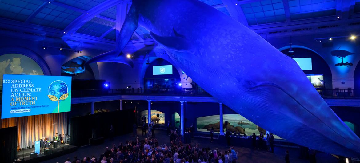 The iconic blue whale looms over the Milstein Hall of Ocean Life at the American Museum of Natural History, where Secretary-General António Guterres gave a special speech on climate action.