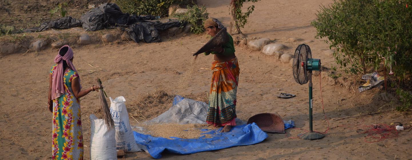कृषि में प्लास्टिक का व्यापक इस्तेमाल चिन्ता का मुद्दा बनता जा रहा है. 