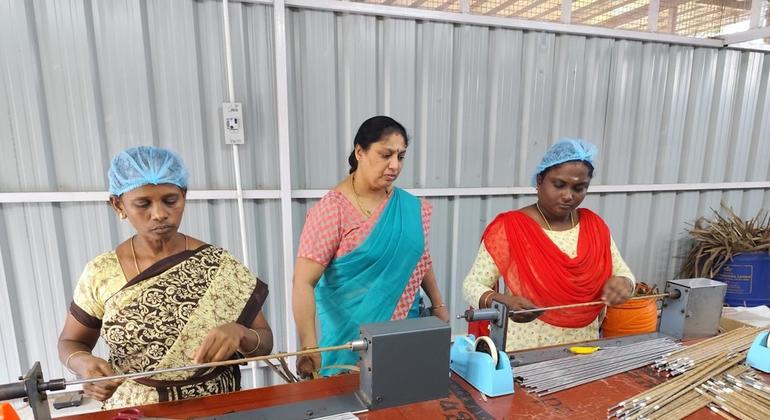 नारियल के पत्तों से बायोडिग्रेडेबल स्ट्रॉ बनाती महिलाएँ. नारियल के पत्तों से बायोडिग्रेडेबल स्ट्रॉ बनाती महिलाएँ.