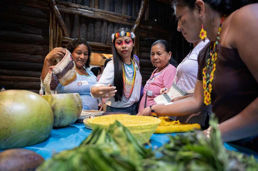 Encuentro de Mujeres Indígenas Voz, Cuerpo y Territorio. Puyo, Ecuador (archivo).