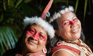 O líder das Nações Unidas afirma que os planos devem reconhecer e proteger os direitos dos povos indígenas e comunidades locais, que ele avalia como “guardiões da biodiversidade”.
