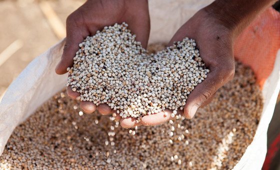 La FAO lance un plan d’urgence pour lutter contre la faim au Soudan