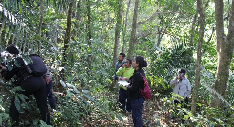 The flames have a ten -year land experience in India's protected wildlife zone to community forests. The flames have a ten -year land experience in India's protected wildlife zone to community forests.