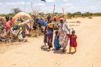 Le Kenya accueille plus de 840.000 réfugiés, principalement dans les camps de Dadaab et de Kakuma.