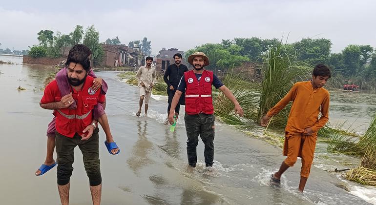 صوبہ پنجاب میں چار ہزار سے زیادہ گاؤں سیلاب سے متاثر ہوئے ہیں جہاں امدادی کارکن لوگوں کو محفوظ مقامات پر پہنچانے کی کوششوں میں لگے ہوئے ہیں۔