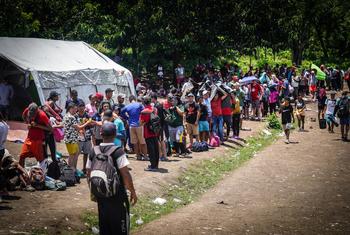 Migrantes hacen fila en un centro de recepción temporal después de cruzar la selva del Darién.