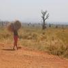 Semira baada ya siku ndefu akitoka kukata nyasi huko Nyala, nchini Sudan 