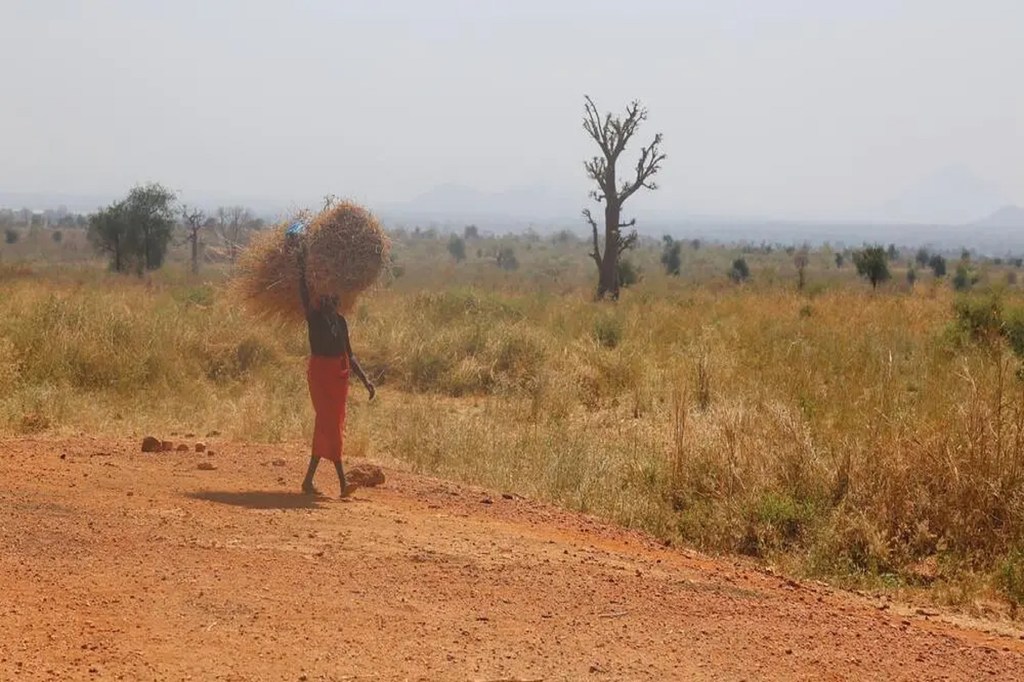 Semira baada ya siku ndefu akitoka kukata nyasi huko Nyala, nchini Sudan 