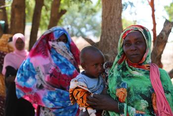 सूडान के दारफ़ूर में विस्थापितों के लिए बनाए गए एक में नक़दी सहायता के वितरण के लिए, क़तार में खड़ी महिलाएँ.