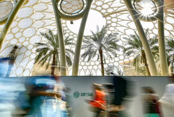 Ежегодные инвестиции в экологически чистые решения в прошлом году составили около 200 миллиардов долларов. 