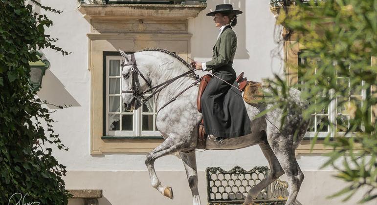 World horse day: the oldest and honest member of humans is careful
– eSHOP24X7 World horse day: the oldest and honest member of humans is careful
– eSHOP24X7