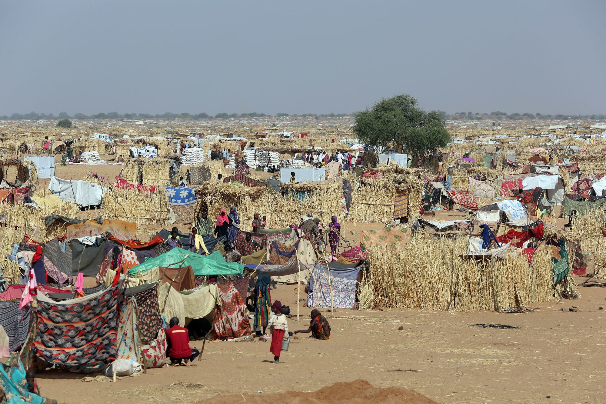 Радио ООН | 08-12.12.2025