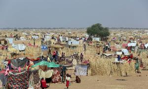 A sprawling refugee camp in Tawila, Darfur, Sudan, where nearly 89,000 displaced people have fled El Fasher. The UN and NGOs provide aid including food, water, healthcare, and psychosocial support. Many displaced are women who have experienced sexual violence.