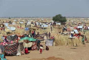 Um amplo campo de refugiados em Tawila, Darfur, Sudão, onde quase 89.000 pessoas deslocadas fugiram de El Fasher. A ONU e ONGs fornecem ajuda, incluindo alimentos, água, cuidados de saúde e apoio psicosocial.