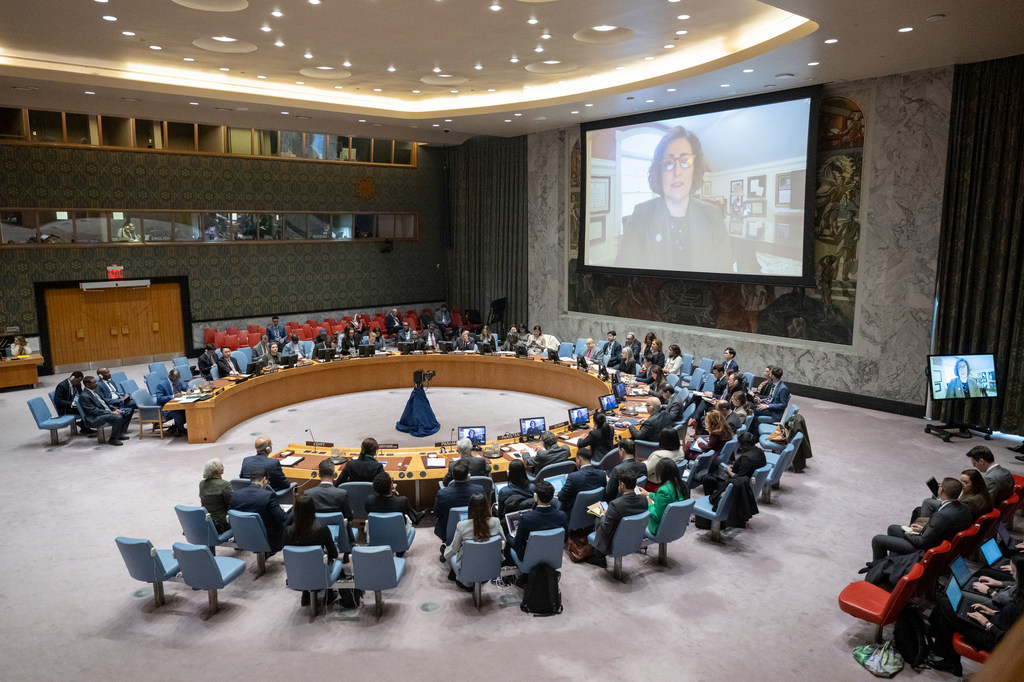 Beth Bechdol (kwenye skrini), Naibu Mkurugenzi Mkuu wa FAO, akitoa taarifa katika mkutano wa dharura ya Baraza la usalama kuhusu hali nchini Sudan. 