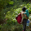 Многие мигранты пешком пересекают Дарьенский пробел - джунгли, разделяющие Колумбию и Панаму.