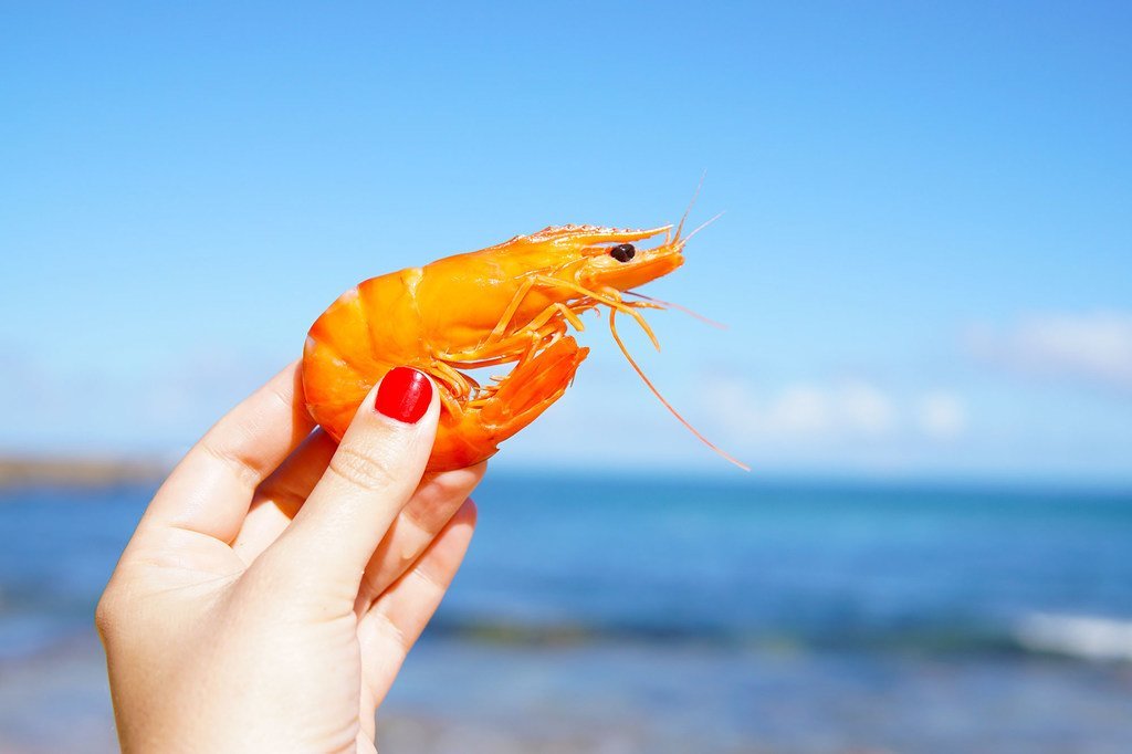 Une main tenant une crevette cuite sur fond de plage et d'océan.