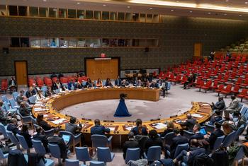 Conselho de Segurança iniciou esta quinta-feira uma visita à República Democrática do Congo