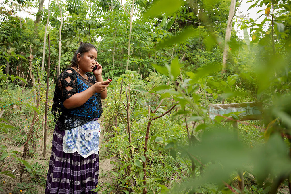 Una mujer indígena vestida con ropa tradicional se encuentra en un campo rural de Guatemala, hablando por teléfono móvil y sosteniendo un teléfono inteligente.