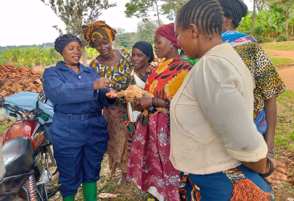 Naam Hadija Alisido, mama wa watoto wanne akiwa na wanufaika wenzake wa mradi wa Programu ya Pamoja ya Kigoma, KJP chini ya Shirika la Umoja wa Mataifa la Chakula na Kilimo (FAO) tangu mwaka 2018.