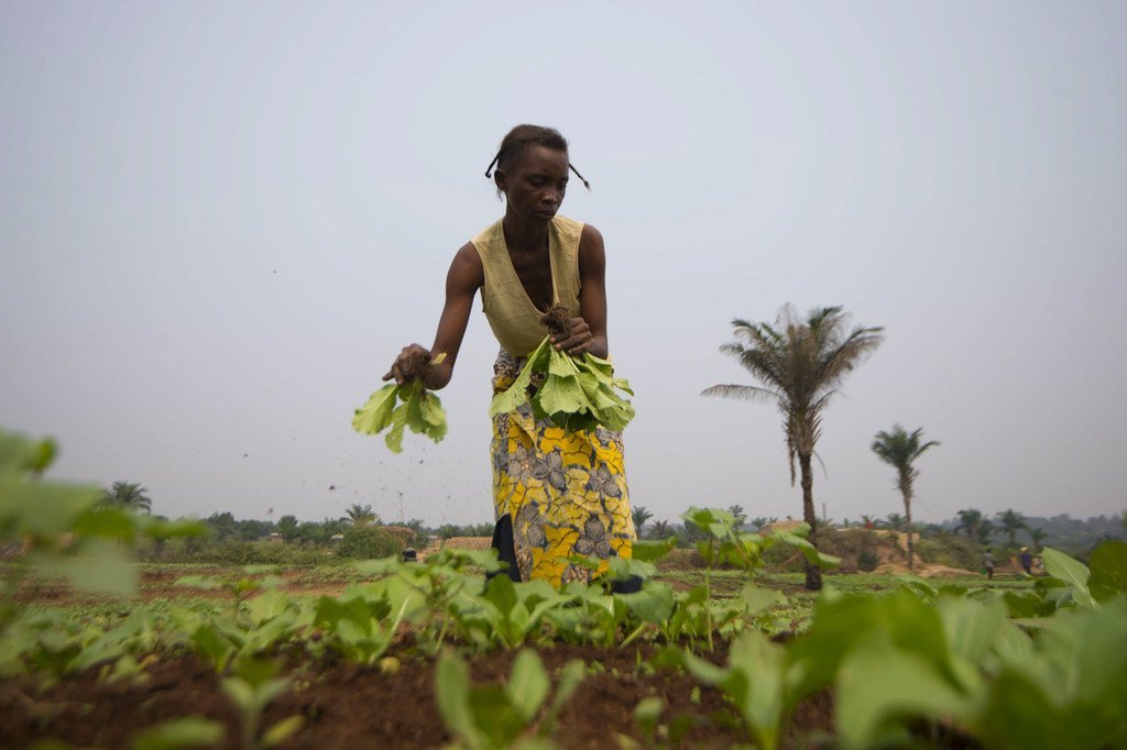 Un agriculteur en République démocratique du Congo, où une personne sur trois souffre de faim aiguë.