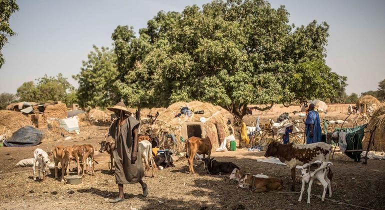 Mali: UN expert calls for independent probe into Moura massacre