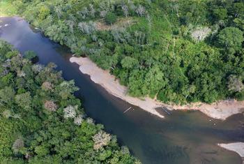Vista área del Darién. Panamá comparte recursos hídricos con Costa Rica y Colombia.