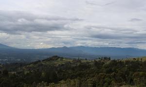 Papua New Guinea highlands region.