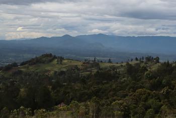 Papua New Guinea highlands region.