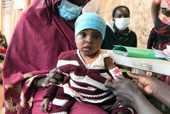 Ação urgente necessária para abordar de forma holística a desnutrição infantil na África Ocidental e Central