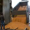 一辆卡车在乌克兰的一家加工厂卸货玉米谷物。