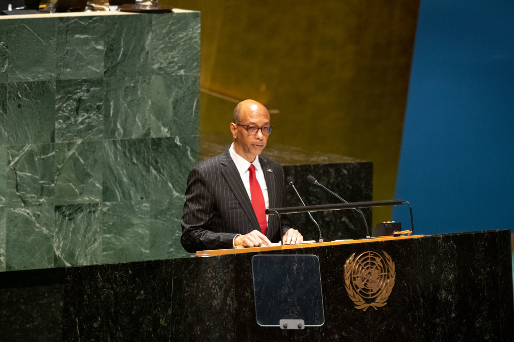 美国常驻联合国副代表罗伯特·A·伍德在纽约联合国全体会议上发表讲话。